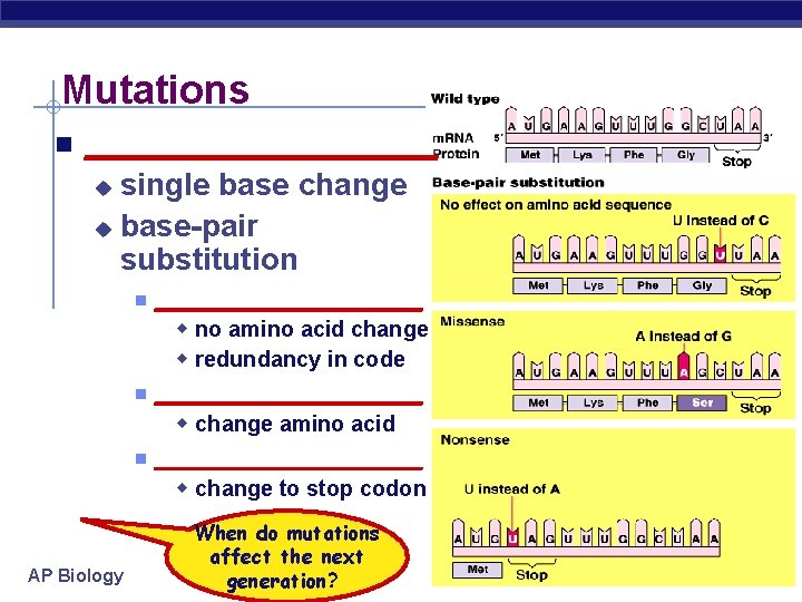 Mutations n __________ single base change u base-pair substitution u n _________ w no