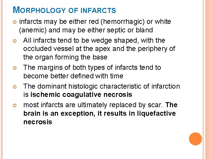 MORPHOLOGY OF INFARCTS infarcts may be either red (hemorrhagic) or white (anemic) and may