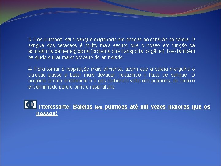 3 - Dos pulmões, sai o sangue oxigenado em direção ao coração da baleia.