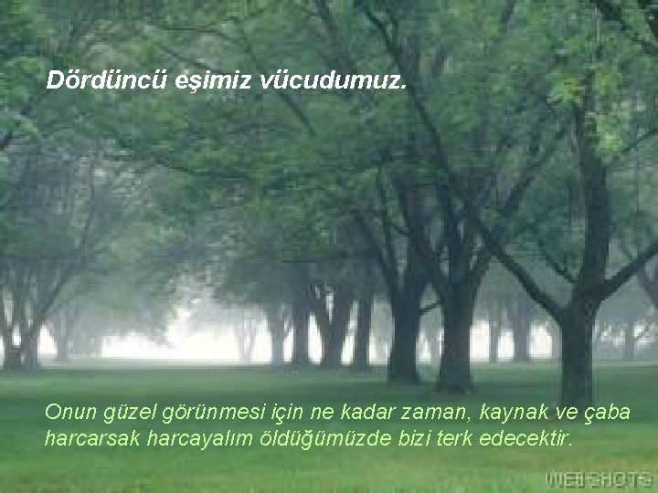 Dördüncü eşimiz vücudumuz. Onun güzel görünmesi için ne kadar zaman, kaynak ve çaba harcarsak