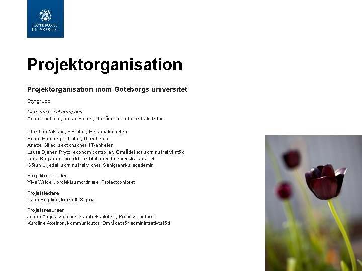  Projektorganisation inom Göteborgs universitet Styrgrupp Ordförande i styrgruppen Anna Lindholm, områdeschef, Området för