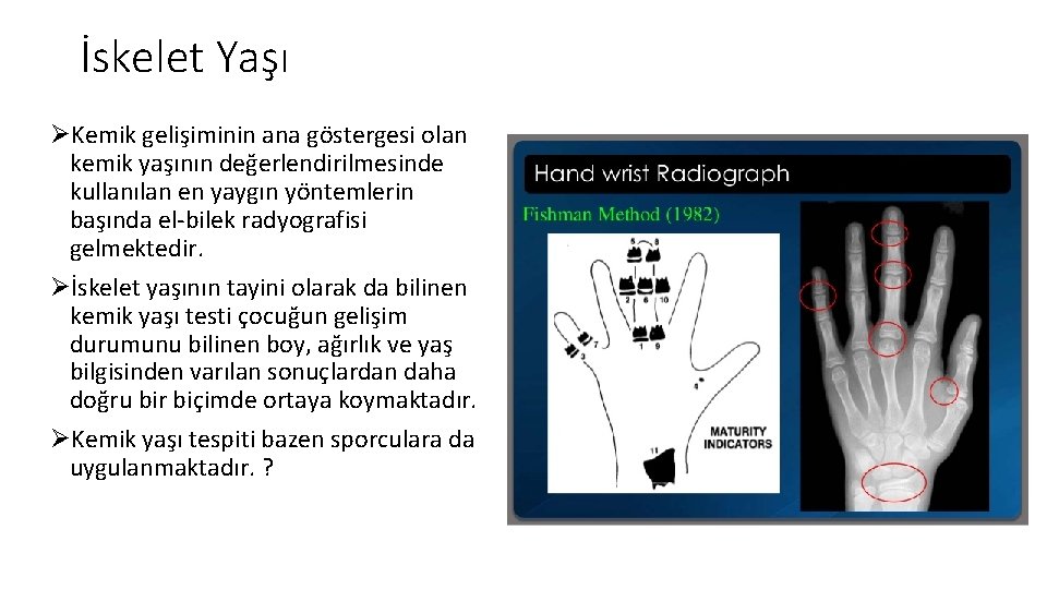 İskelet Yaşı ØKemik gelişiminin ana göstergesi olan kemik yaşının değerlendirilmesinde kullanılan en yaygın yöntemlerin