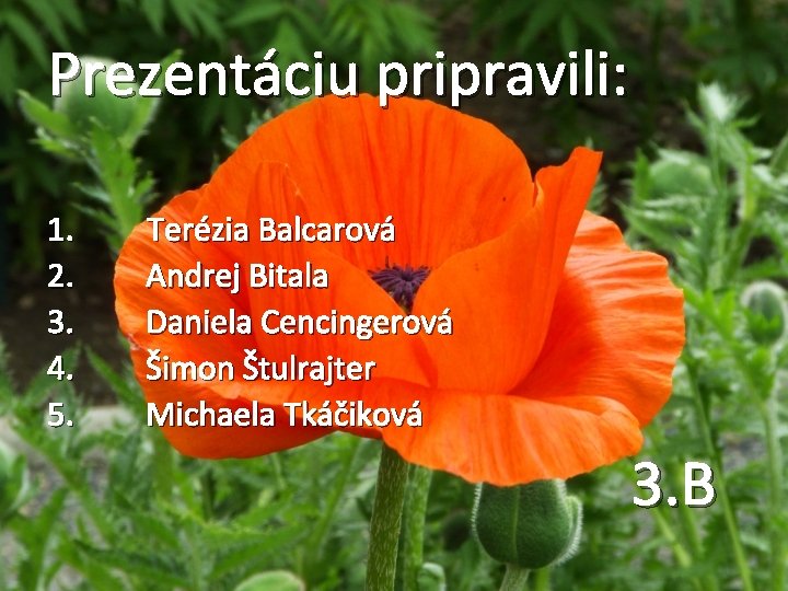 Prezentáciu pripravili: 1. 2. 3. 4. 5. Terézia Balcarová Andrej Bitala Daniela Cencingerová Šimon