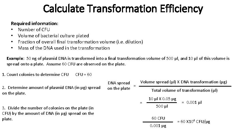 Calculate Transformation Efficiency Required information: • Number of CFU • Volume of bacterial culture