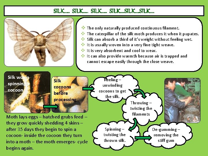 SILK…. . SILK…. v The only naturally produced continuous filament. v v v Silk