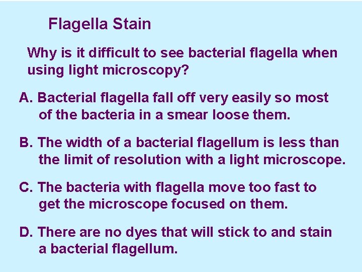  Flagella Stain Why is it difficult to see bacterial flagella when using light