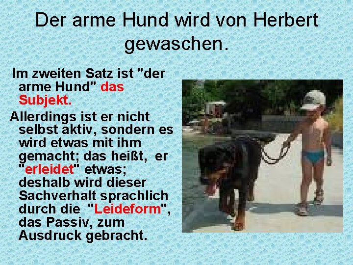 Der arme Hund wird von Herbert gewaschen. Im zweiten Satz ist "der arme Hund"