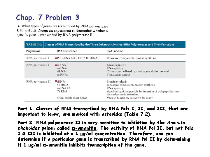 Chap. 7 Problem 3 * * * Part 1: Classes of RNA transcribed by