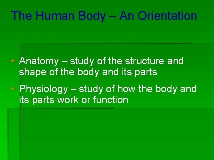 The Human Body – An Orientation • Anatomy – study of the structure and