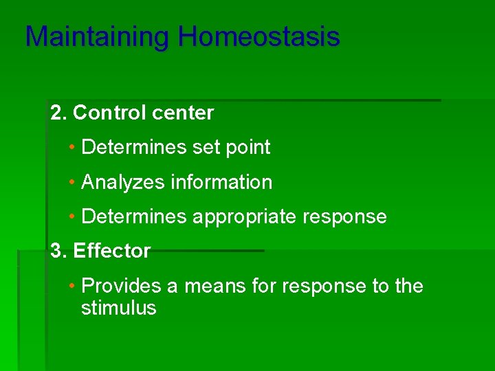 Maintaining Homeostasis 2. Control center • Determines set point • Analyzes information • Determines