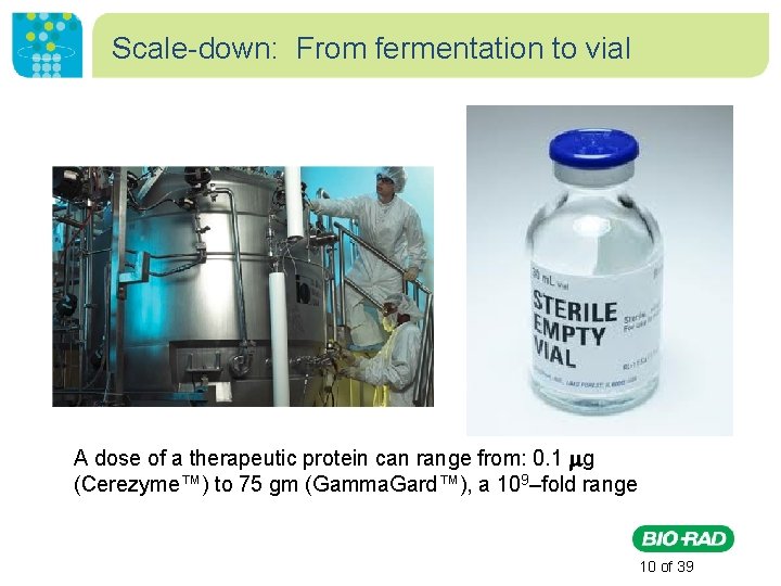 Scale-down: From fermentation to vial A dose of a therapeutic protein can range from: