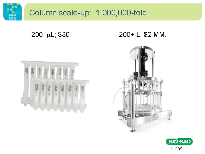 Column scale-up: 1, 000 -fold 200 L; $30 200+ L; $2 MM. 11 of