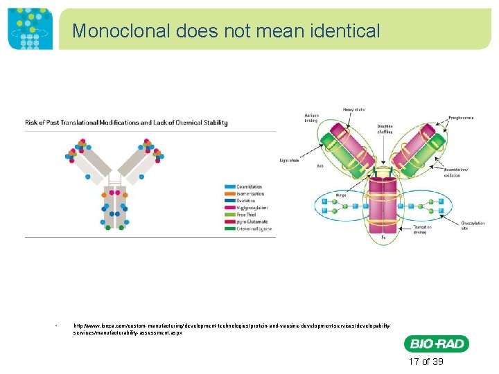 Monoclonal does not mean identical • http: //www. lonza. com/custom-manufacturing/development-technologies/protein-and-vaccine-development-services/developabilityservices/manufacturability-assessment. aspx 17 of 39