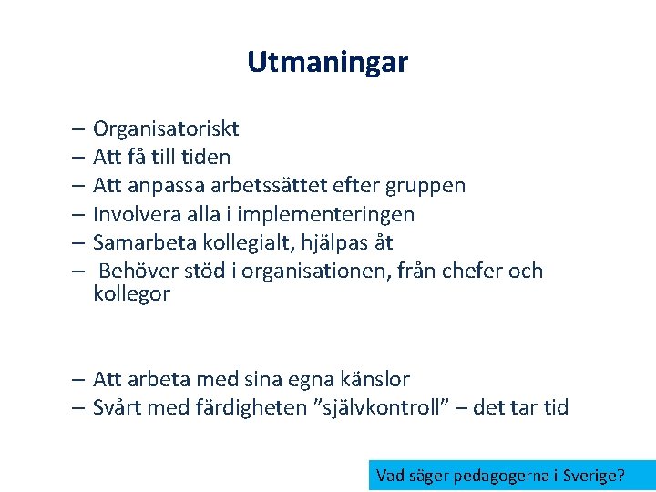 Utmaningar – Organisatoriskt – Att få till tiden – Att anpassa arbetssättet efter gruppen