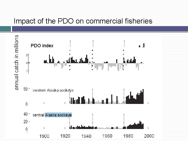 Impact of the PDO on commercial fisheries PDO index Impact of the PDO on commercial fisheries PDO index