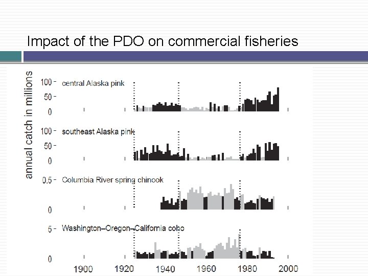 Impact of the PDO on commercial fisheries 3 -5 lb 5 -8 lb Impact of the PDO on commercial fisheries 3 -5 lb 5 -8 lb