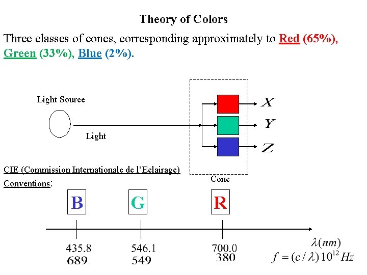 Theory of Colors Three classes of cones, corresponding approximately to Red (65%), Green (33%),