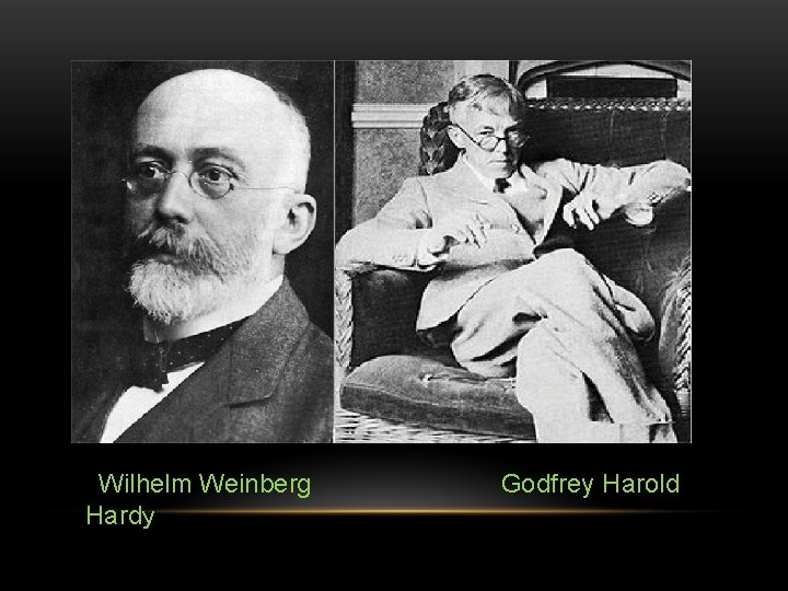 Wilhelm Weinberg Hardy Godfrey Harold 