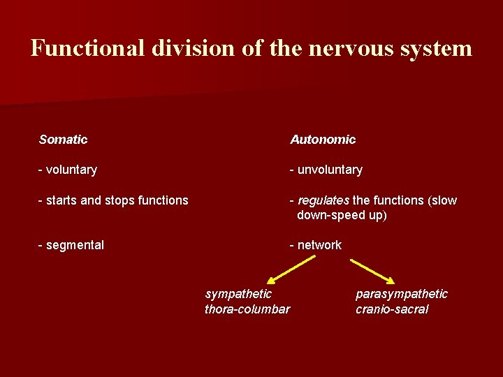 Functional division of the nervous system Somatic Autonomic - voluntary - unvoluntary - starts