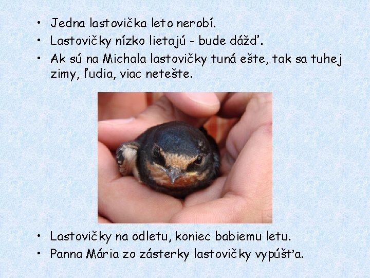  • Jedna lastovička leto nerobí. • Lastovičky nízko lietajú - bude dážď. •