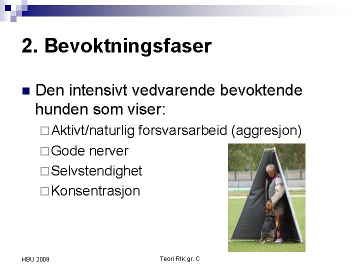2. Bevoktningsfaser n Den intensivt vedvarende bevoktende hunden som viser: ¨ Aktivt/naturlig forsvarsarbeid (aggresjon)