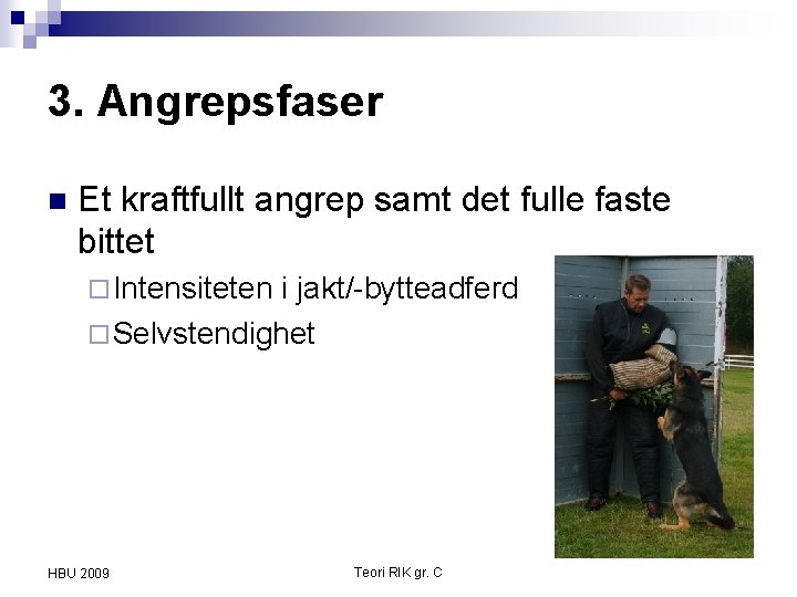 3. Angrepsfaser n Et kraftfullt angrep samt det fulle faste bittet ¨ Intensiteten i