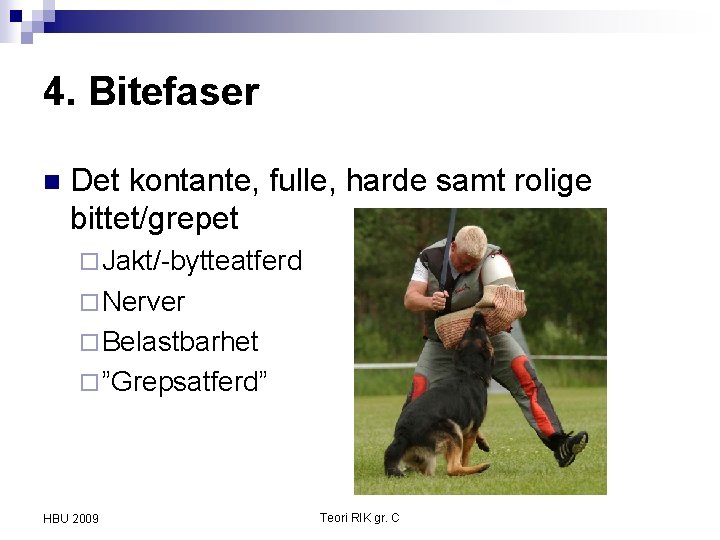 4. Bitefaser n Det kontante, fulle, harde samt rolige bittet/grepet ¨ Jakt/-bytteatferd ¨ Nerver