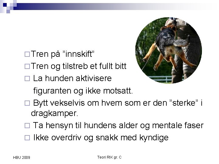 ¨ Tren på ”innskift” ¨ Tren og tilstreb et fullt bitt ¨ La hunden