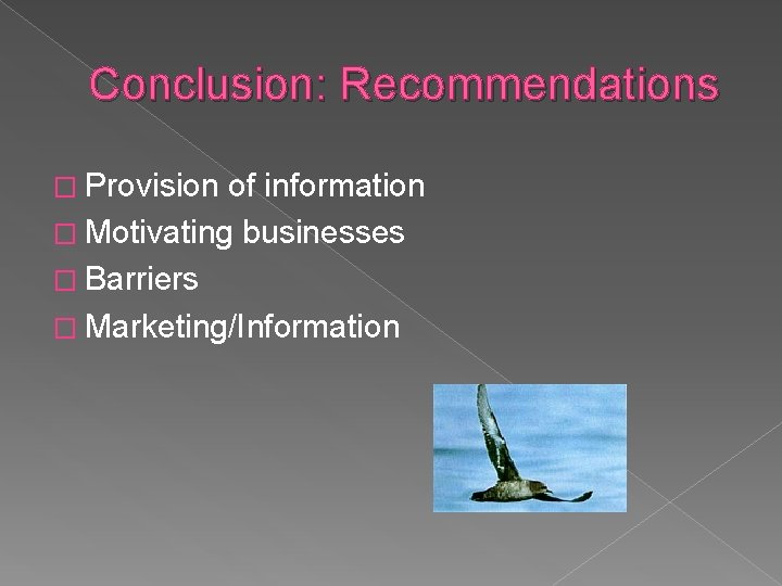 Conclusion: Recommendations � Provision of information � Motivating businesses � Barriers � Marketing/Information 