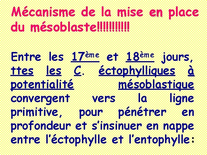 Mécanisme de la mise en place du mésoblaste!!!!!! Entre les 17ème et 18ème jours,