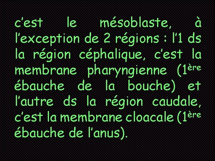 c’est le mésoblaste, à l’exception de 2 régions : l’ 1 ds la région