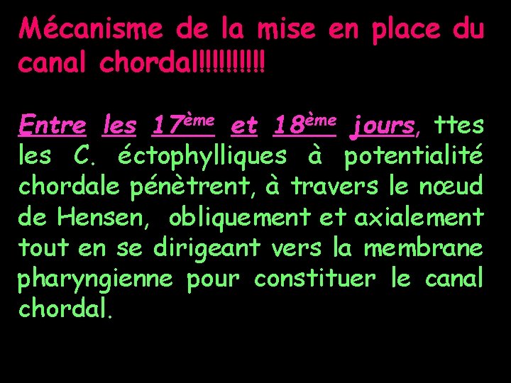 Mécanisme de la mise en place du canal chordal!!!!! Entre les 17ème et 18ème