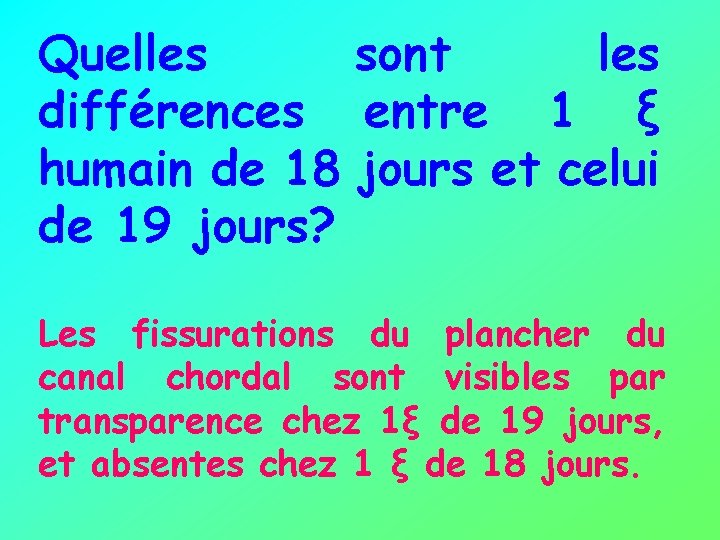 Quelles sont les différences entre 1 ξ humain de 18 jours et celui de