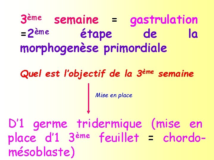 3ème semaine = gastrulation =2ème étape de la morphogenèse primordiale Quel est l’objectif de