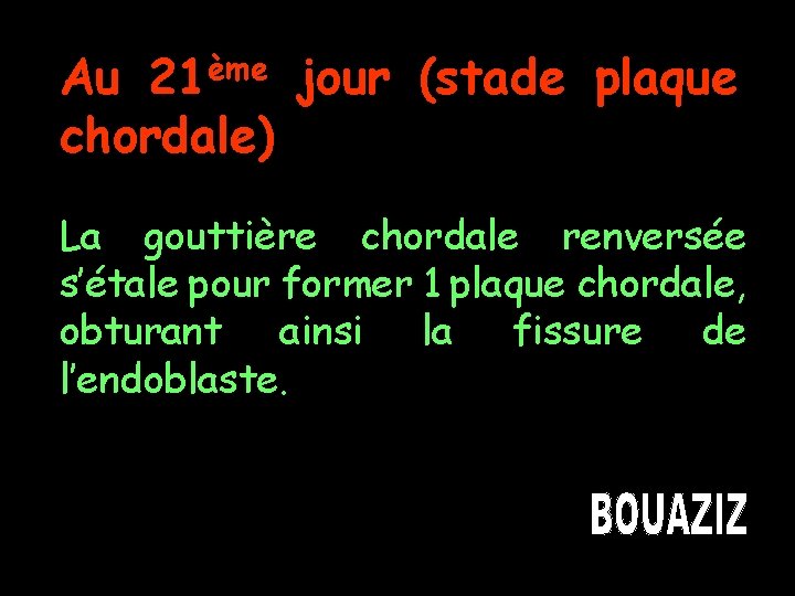 ème 21 Au jour (stade plaque chordale) La gouttière chordale renversée s’étale pour former