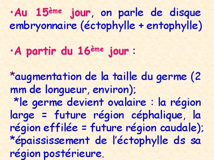  • Au 15ème jour, on parle de disque embryonnaire (éctophylle + entophylle) •