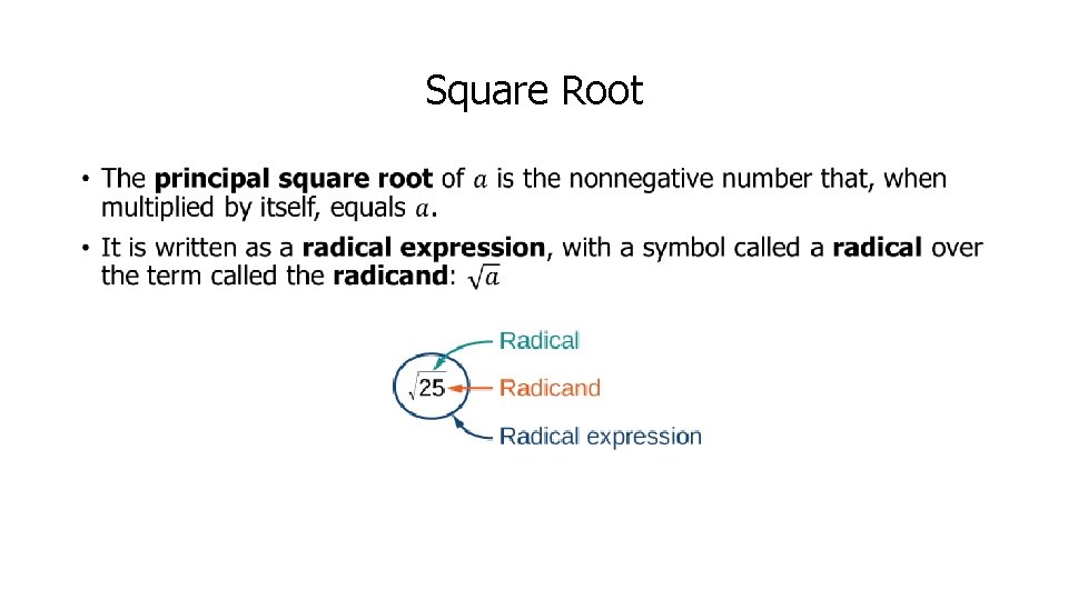 Square Root • 