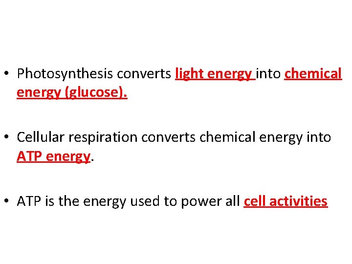  • Photosynthesis converts light energy into chemical energy (glucose). • Cellular respiration converts