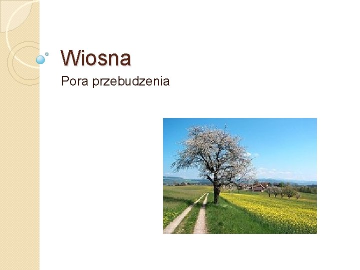 Wiosna Pora przebudzenia 