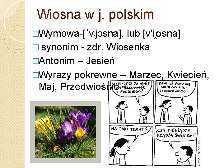 Wiosna w j. polskim �Wymowa-[ˈvʲjɔsna], lub [vʹi  osna] � synonim - zdr. Wiosenka �Antonim