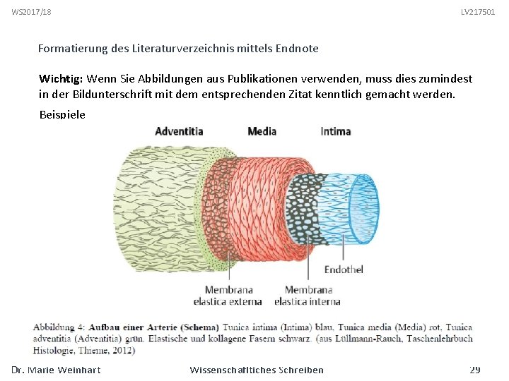 WS 2017/18 LV 217501 Formatierung des Literaturverzeichnis mittels Endnote Wichtig: Wenn Sie Abbildungen aus