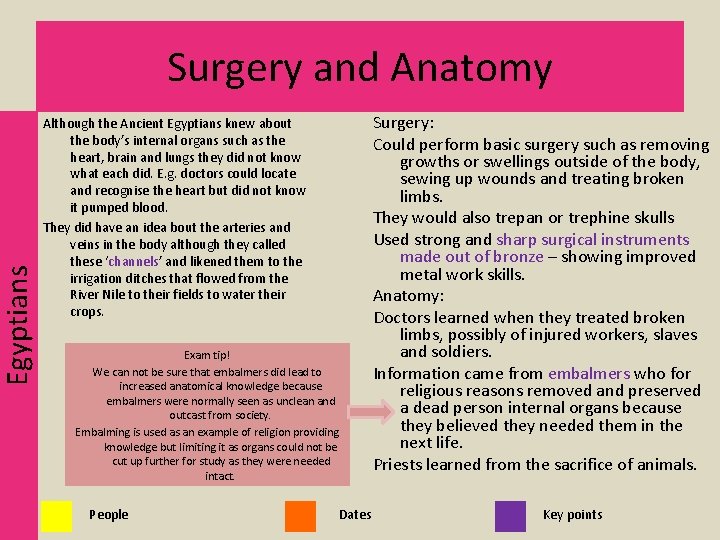 Egyptians Surgery and Anatomy Although the Ancient Egyptians knew about the body’s internal organs