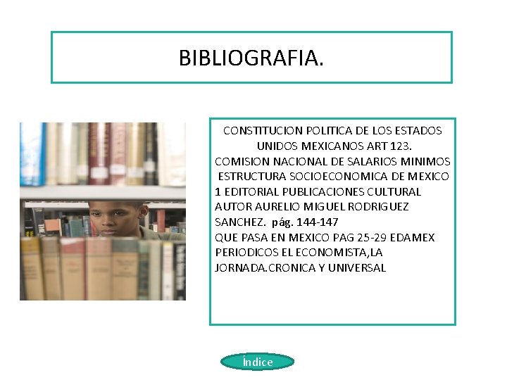 BIBLIOGRAFIA. CONSTITUCION POLITICA DE LOS ESTADOS UNIDOS MEXICANOS ART 123. COMISION NACIONAL DE SALARIOS