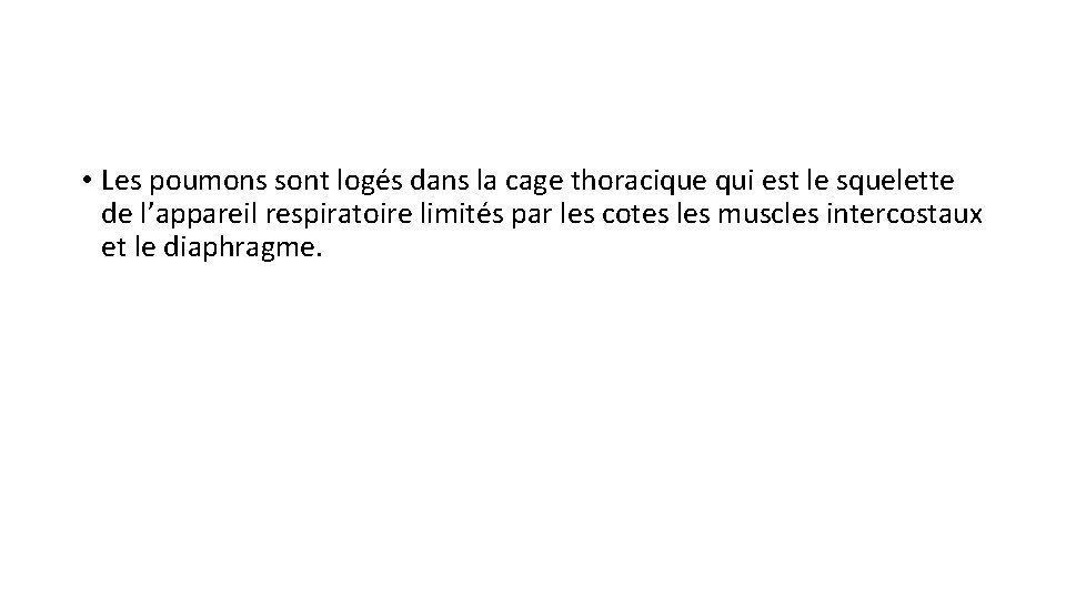  • Les poumons sont logés dans la cage thoracique qui est le squelette