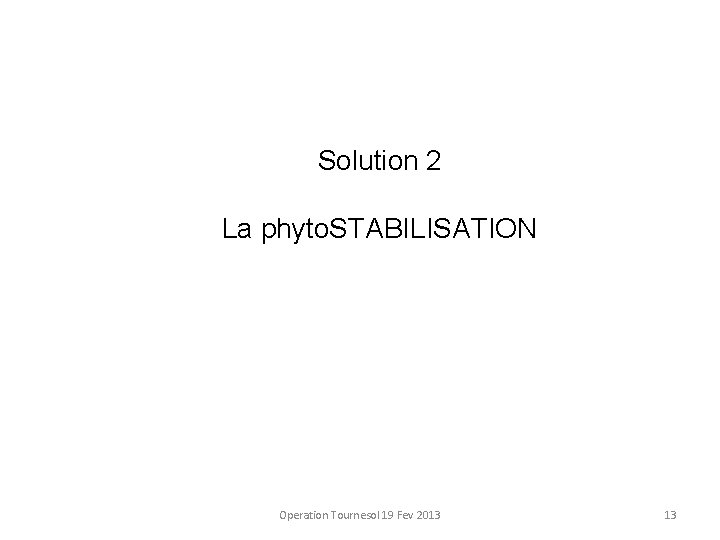 Solution 2 La phyto. STABILISATION Operation Tournesol 19 Fev 2013 13 