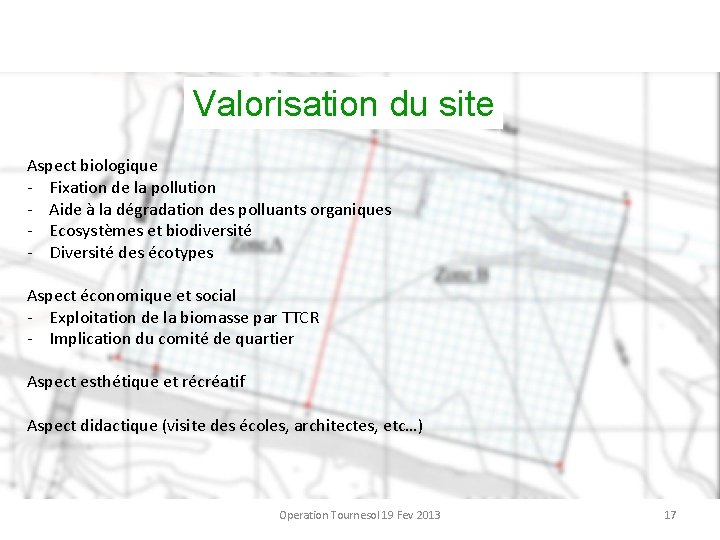 Valorisation du site Aspect biologique - Fixation de la pollution - Aide à la