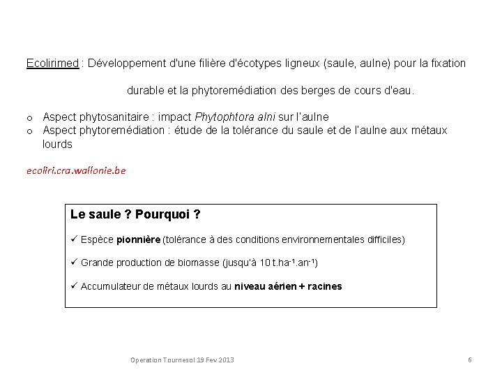 Ecolirimed : Développement d'une filière d'écotypes ligneux (saule, aulne) pour la fixation durable et