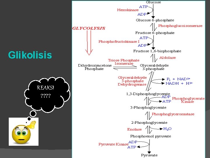 Glikolisis REAKSI ? ? 