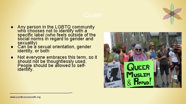 Queer ● Any person in the LGBTQ community who chooses not to identify with