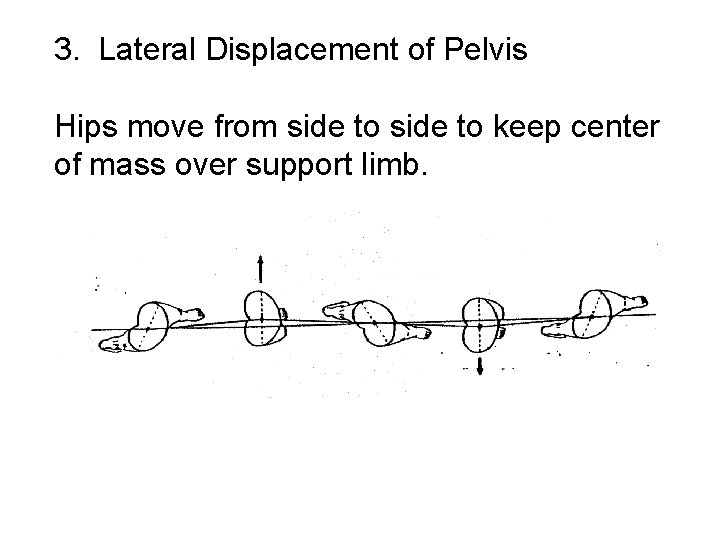 3. Lateral Displacement of Pelvis Hips move from side to keep center of mass